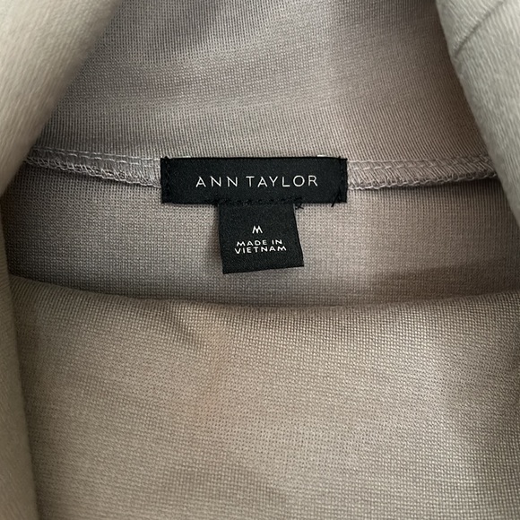 Ann Taylor Faux Suede Button Cuff & Hem Pullover (M) - Picture 4 of 7
